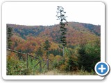 Rzeka - Ropiczka - Kotarz - Praszywa - Ligotka Kameralna