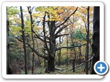 Rzeka - Ropiczka - Kotarz - Praszywa - Ligotka Kameralna