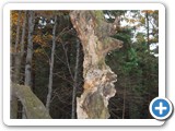 Rzeka - Ropiczka - Kotarz - Praszywa - Ligotka Kameralna