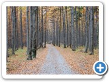 Rzeka - Ropiczka - Kotarz - Praszywa - Ligotka Kameralna